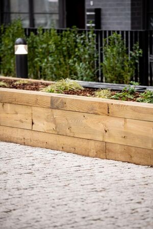 240599 Plot21 IMG 118 0000.jpeg