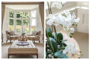 223040 DWA210036 IMG 13 0000.jpeg