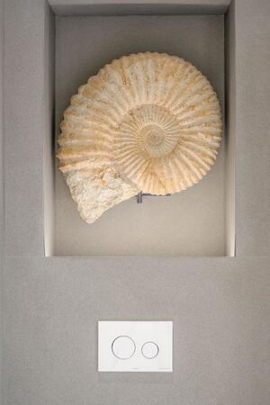 50021 31525656 IMG 25 0000.jpeg