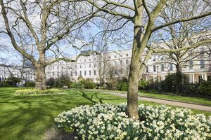 65243 TMH79096 IMG 04 0000.jpeg