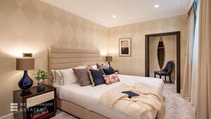 233642 6553320 IMG 07 0000.jpeg