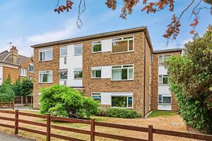 135596 31694731 IMG 14 0000.jpeg