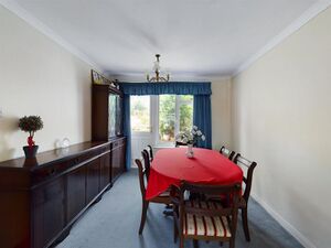 6225 31762227 IMG 05 0000.jpeg