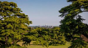 88409 HAW220082 IMG 37 0000.jpeg