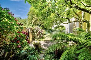 73947 31652987 IMG 09 0001.jpeg