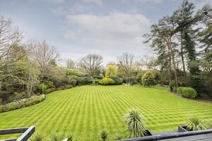 183887 61f7f898ee7f2 IMG 13 0000.jpeg