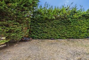 4566 APC202448 IMG 10 0000.jpeg