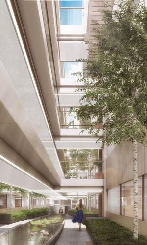 207578 11599048 IMG 01 0000.jpeg