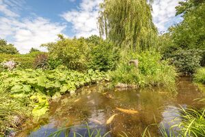 22317 TOT190204 IMG 24 0000.jpeg