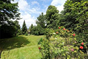 72698 WIM220135 IMG 10 0000.jpeg