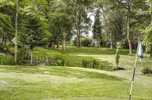 88409 HAW210081 IMG 22 0000.jpeg