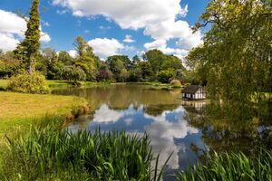 88409 HAW220082 IMG 36 0000.jpeg