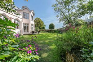 223040 DWA210036 IMG 46 0000.jpeg