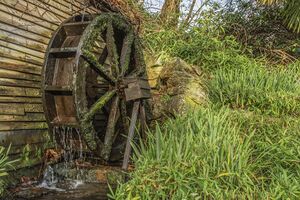 22317 TOT190204 IMG 05 0000.jpeg