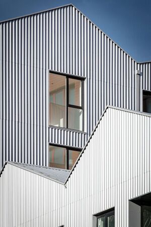 240599 Plot21 IMG 166 0000.jpeg