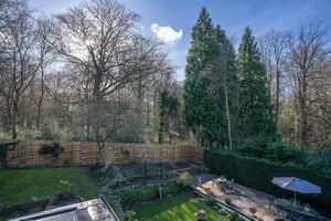 87916 HAM210290 IMG 23 0001.jpeg