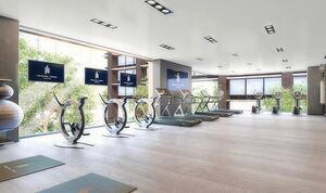 247181 Princple381 IMG 05 0000.jpeg