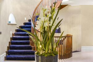 212372 P129218 IMG 19 0000.jpeg