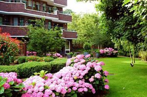 51753 57188 IMG 12 0000.jpeg