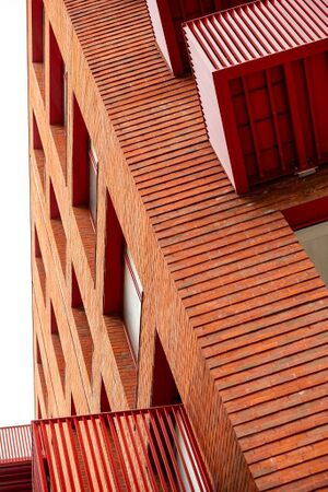 240599 Plot21 IMG 133 0000.jpeg