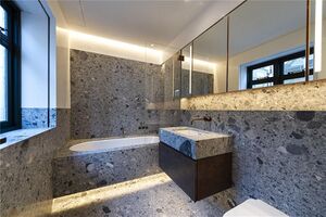 49602 MAS210014 IMG 08 0001.jpeg