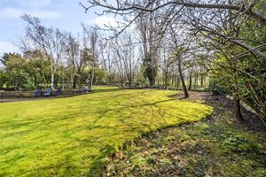 48928 HAH220101 IMG 09 0000.jpeg