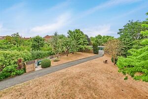 135596 31694731 IMG 02 0000.jpeg