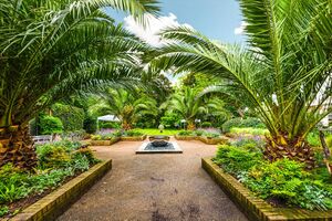 94745 BGV012191379 IMG 12 0001.jpeg