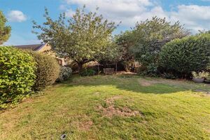 114391 31756141 IMG 05 0000.jpeg