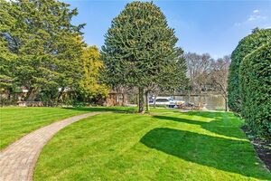 80826 RIS210206 IMG 23 0000.jpeg