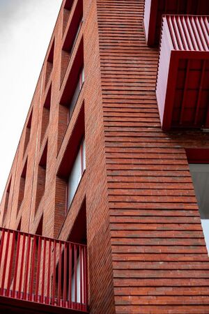 240599 Plot21 IMG 134 0000.jpeg