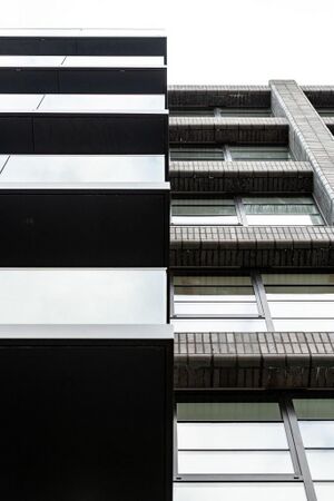 240599 Plot21 IMG 132 0000.jpeg