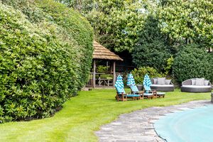 65806 HAM012148936 IMG 26 0000.jpeg