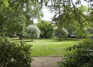 48934 KEH210086 IMG 15 0000.jpeg