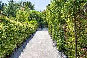 215642 RX183925 IMG 01 0000.jpeg