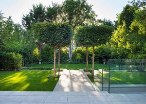 28836 RCH012061282 IMG 19 0000.jpeg