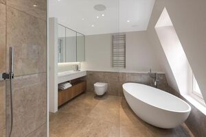 65827 SLA012111820 IMG 11 0002.jpeg