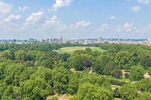 44264 SLN210162 IMG 36 0000.jpeg