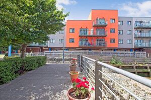 48375 11539958 IMG 00 0000.jpeg