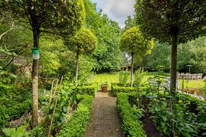 195101 Hampvilhse IMG 14 0000.jpeg