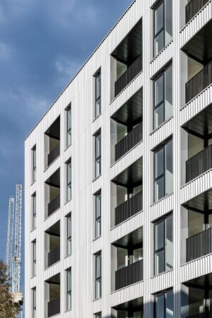 240599 Plot21 IMG 158 0000.jpeg