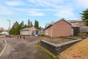 7009 22617040 IMG 00 0000.jpeg