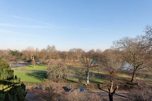 84235 RGS220023 IMG 14 0000.jpeg