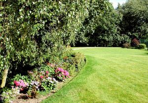 51753 57188 IMG 16 0000.jpeg