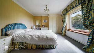 79914 7330700 IMG 14 0001.jpeg