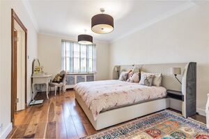 669 CSS130568 IMG 12 0000.jpeg