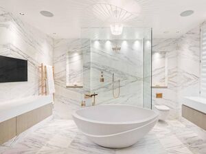 79209 RX154083 IMG 10 0000.jpeg