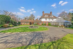 80826 RIS210206 IMG 06 0000.jpeg