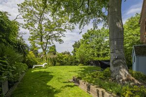 66289 31548986 IMG 17 0000.jpeg