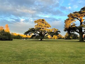 88409 HAW220082 IMG 32 0000.jpeg